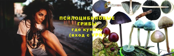 ешки Абинск