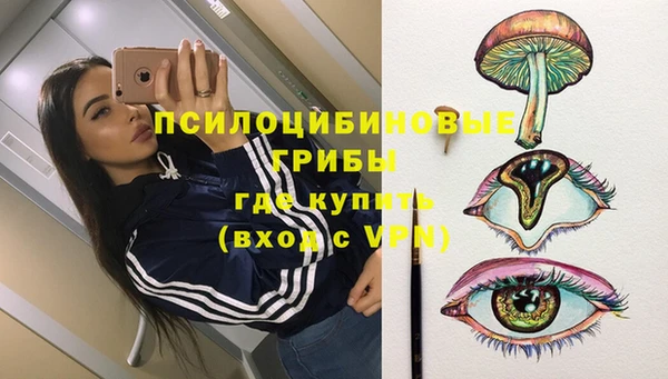 ешки Абинск