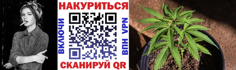 Марихуана Bruce Banner  Горбатов 